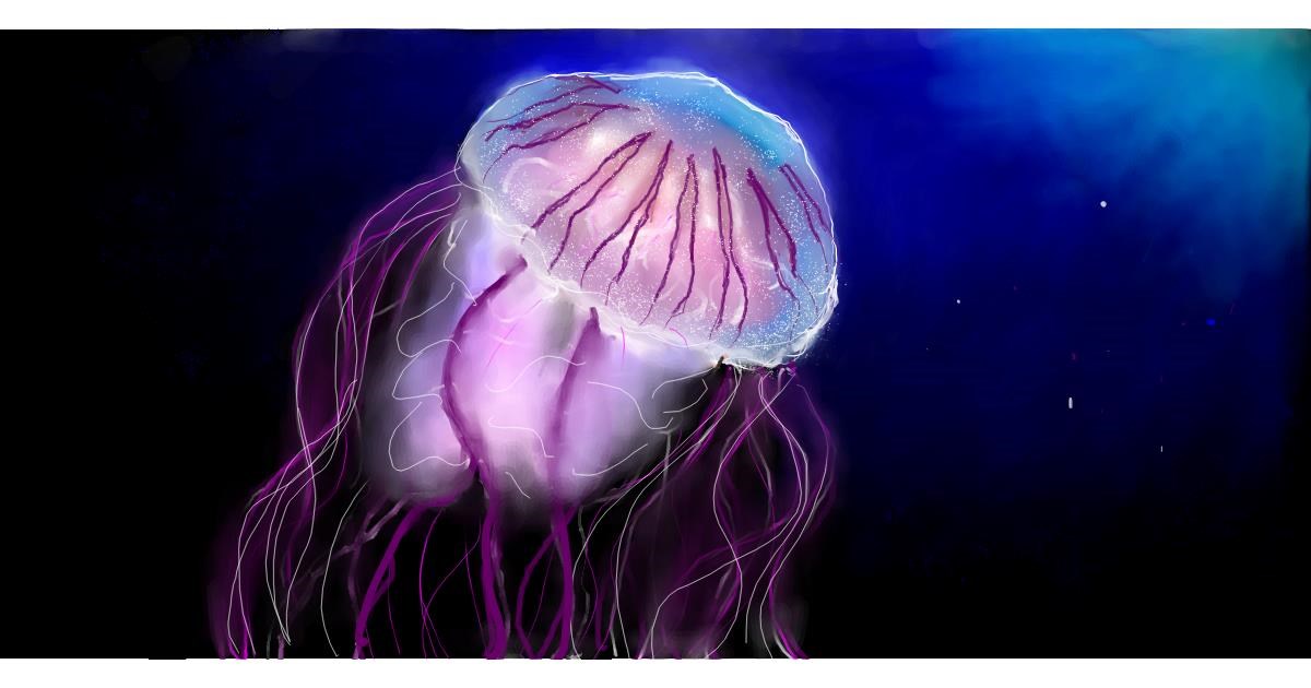Drawing of Jellyfish by TODOROKI-KUN
