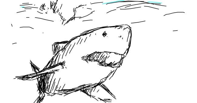 Drawing of Shark by Kreinax