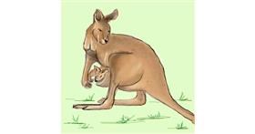 Drawing of Kangaroo by camay