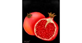Drawing of Pomegranate by GreyhoundMama