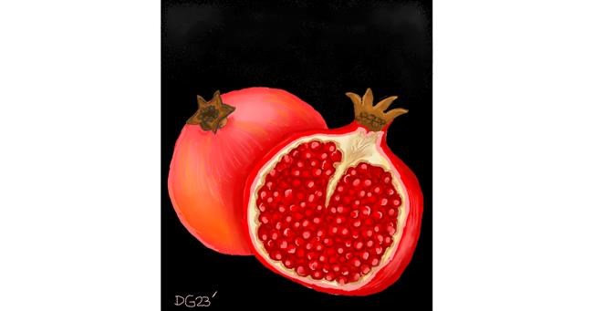 Drawing of Pomegranate by GreyhoundMama