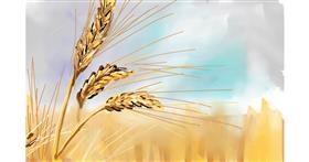 Drawing of Wheat by Rose rocket