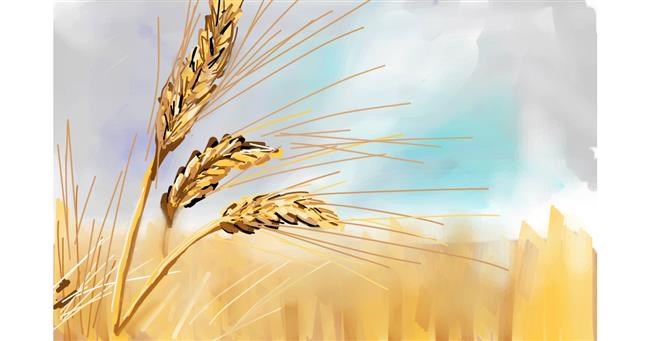 Drawing of Wheat by Rose rocket