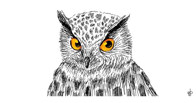 Drawing of Owl by Alguien 