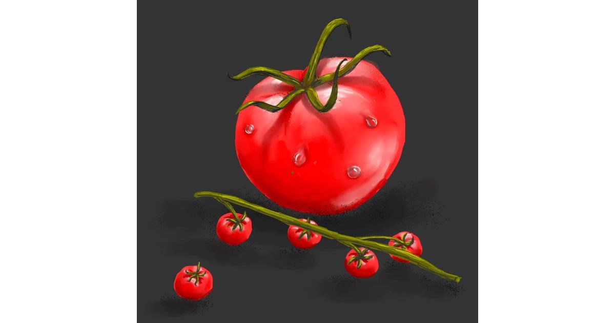 Drawing of Tomato by Andromeda