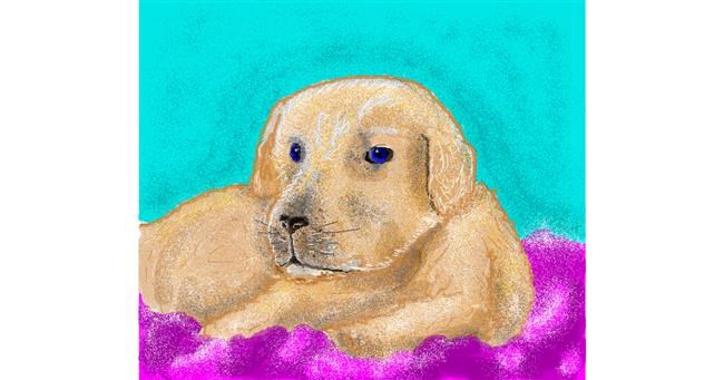 Drawing of Dog by Zz