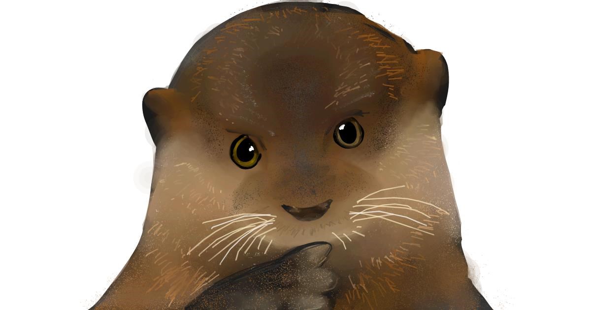 Drawing of Otter by Ryu