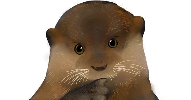 Drawing of Otter by Ryu