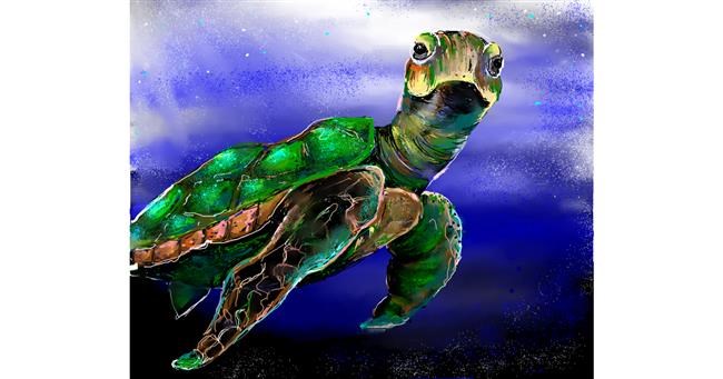 Drawing of Sea turtle by Audrey