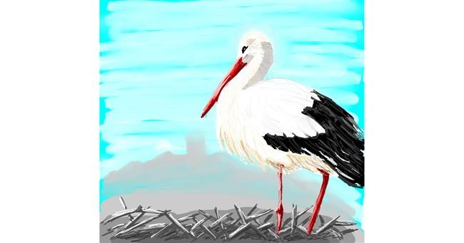 Drawing of Stork by Coyote