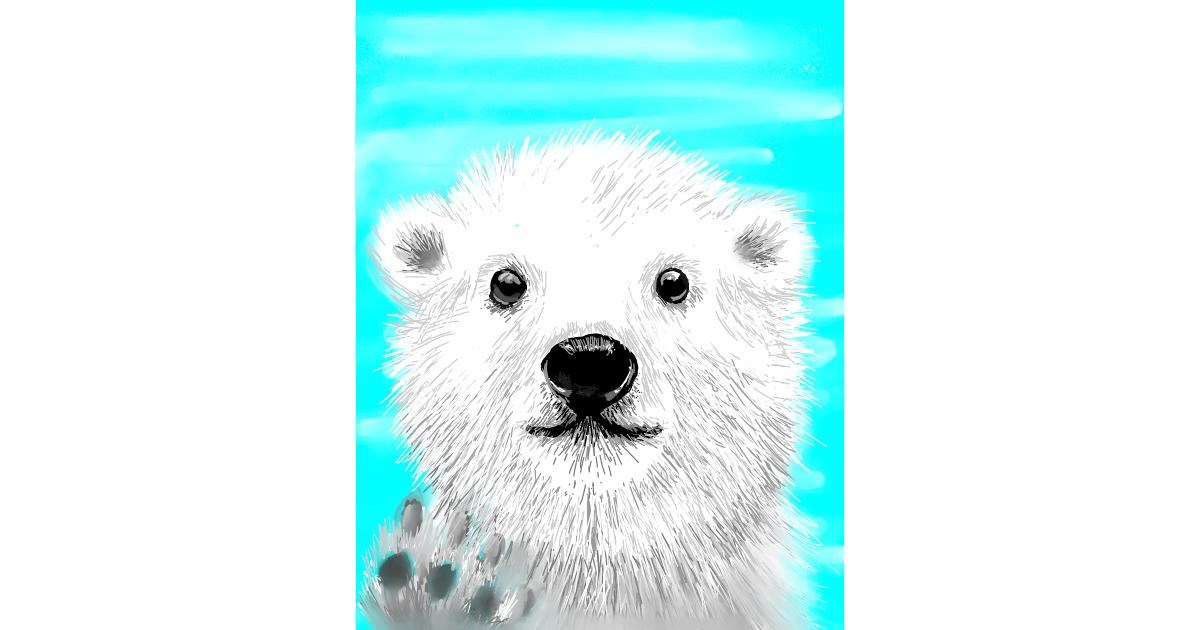 Drawing of Polar Bear by Vinci