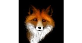 Drawing of Fox by camay