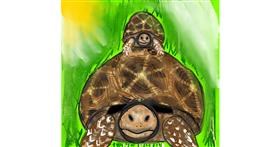 Drawing of Tortoise by Gzell