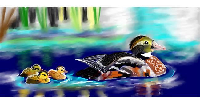 Drawing of Duck by Kim