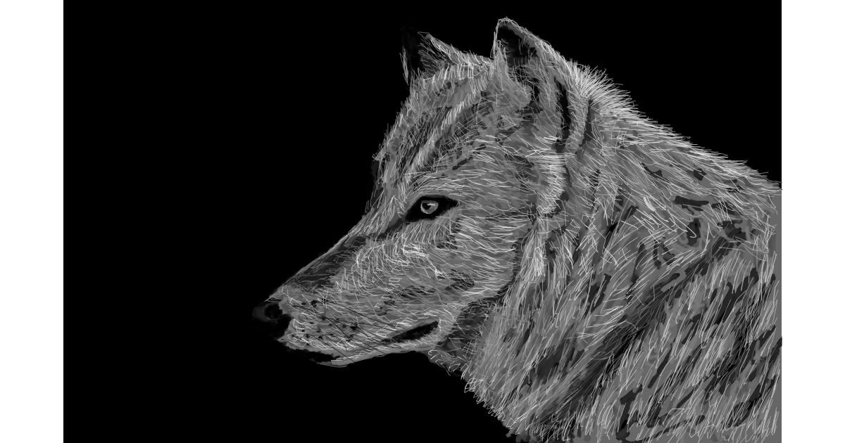 Drawing of Wolf by Humo de copal