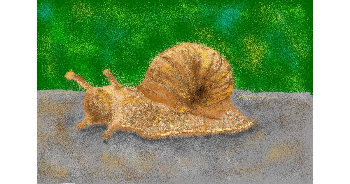 Drawing of Snail by Abbie