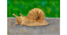 Drawing of Snail by Abbie