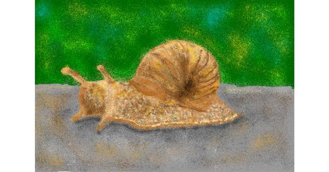 Drawing of Snail by Abbie
