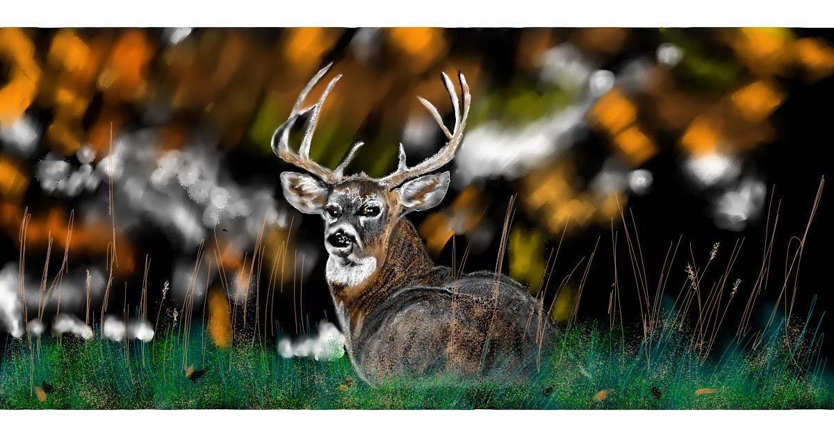 Full Size Drawing