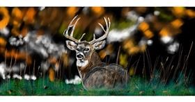 Jelen - autor: Chaching