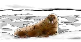 Drawing of Walrus by Sadreign Superemo