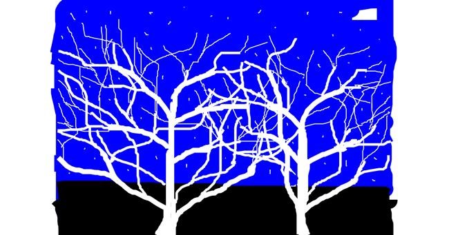 Drawing of Tree by Anonymous