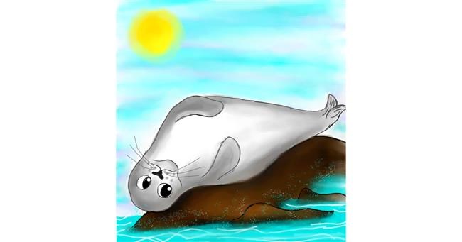 Drawing of Seal by Snowy
