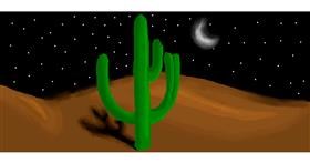 Drawing of Cactus by Mr. Blik
