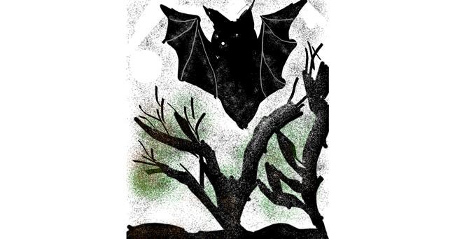 Drawing of Bat by Unknown