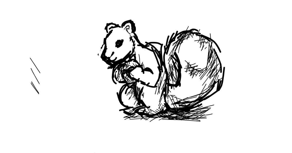 Drawing of Squirrel by Pixxwr