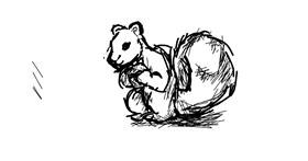 Drawing of Squirrel by Pixxwr