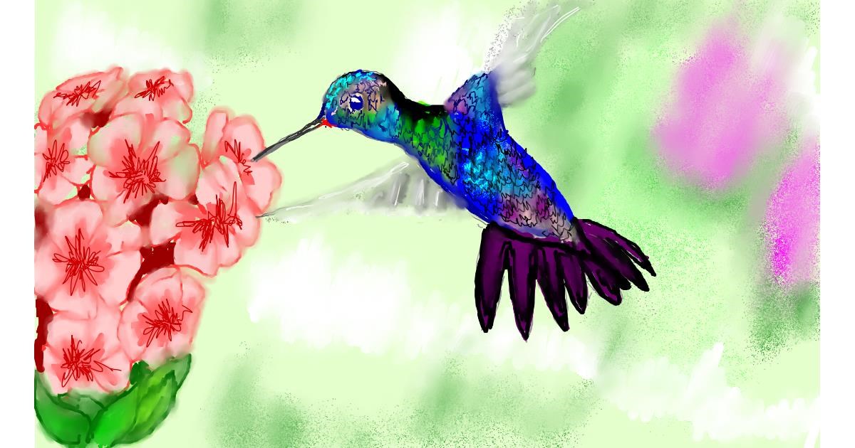 Drawing of Hummingbird by SAM AKA MARGARET 🙄