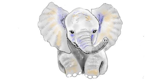 Drawing of Elephant by GJP