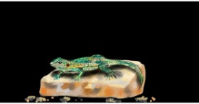 Drawing of Lizard by Eclat de Lune