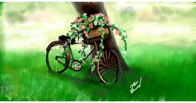 Drawing of Bicycle by Mea