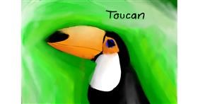 Drawing of Toucan by bon bon bunny