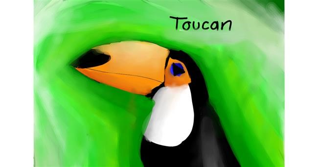 Drawing of Toucan by bon bon bunny