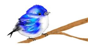 Drawing of Bird by Kim