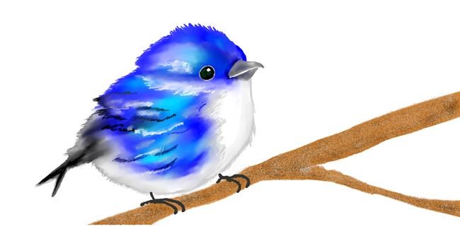 Vogel-Zeichnung von Kim