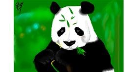 Drawing of Panda by Bibattole