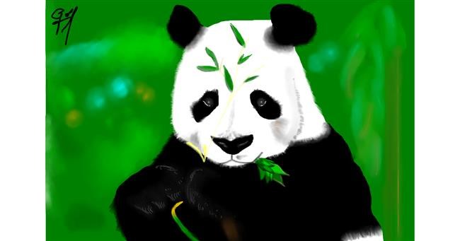 Drawing of Panda by Bibattole