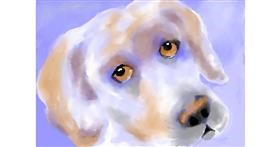 Drawing of Dog by Debidolittle