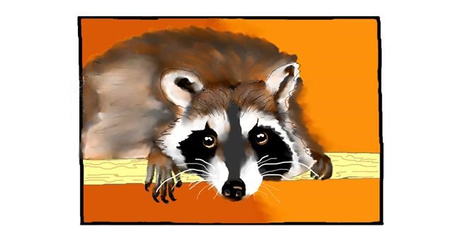 Drawing of Raccoon by DebbyLee