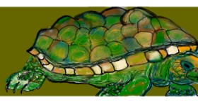 Drawing of Tortoise by Doodle