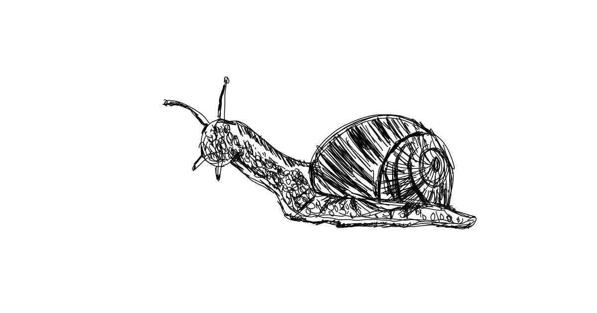 Drawing of Snail by smiley