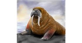 Drawing of Walrus by Lou