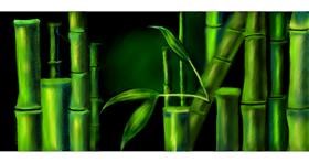 Drawing of Bamboo by Chaching
