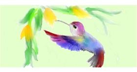 Drawing of Hummingbird by Diksha