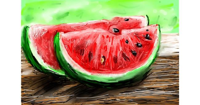 Drawing of Watermelon by Soaring Sunshine