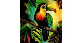 Drawing of Toucan by KayXXXlee